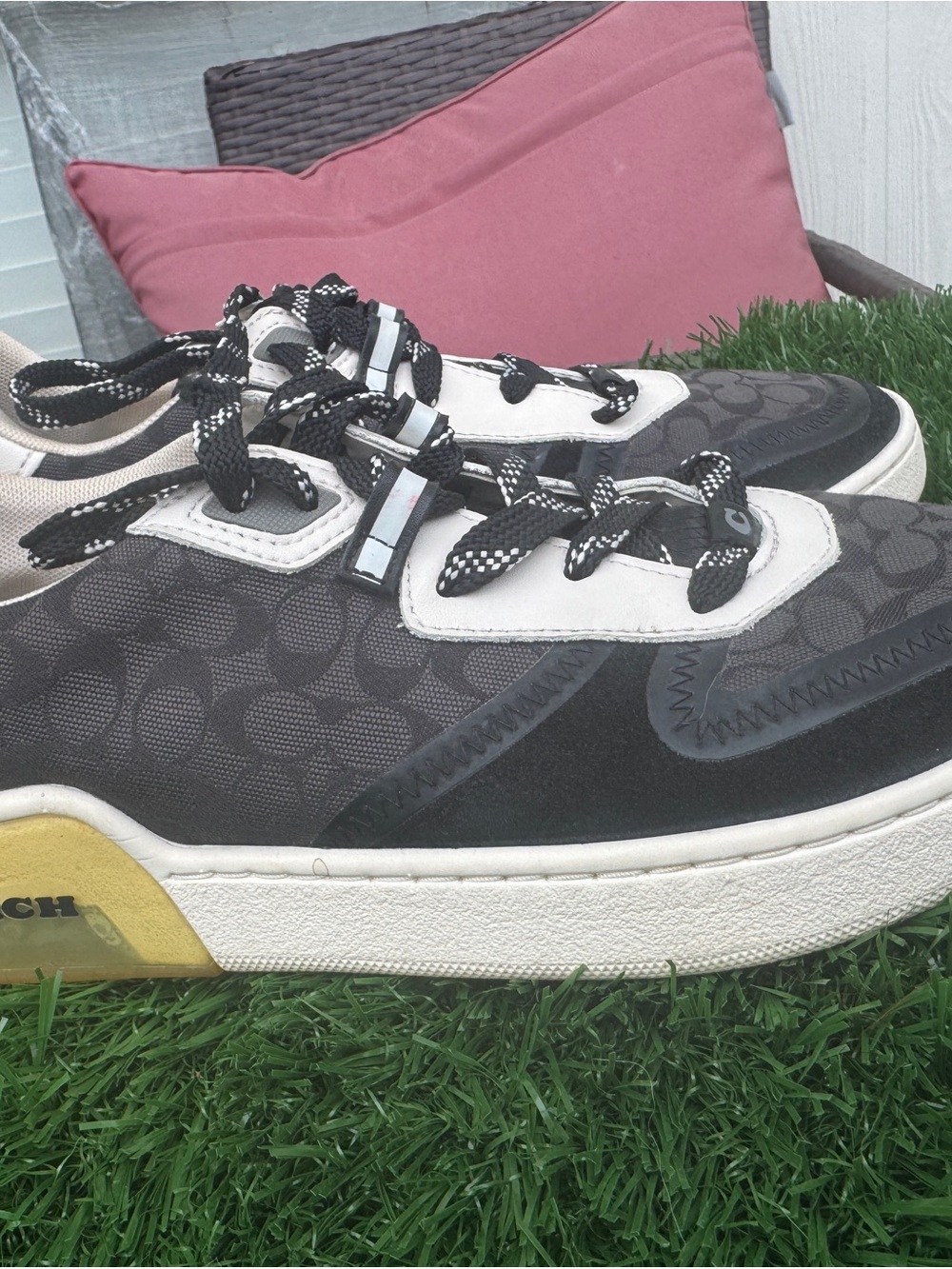 Coach Black and Cream Signature Low-Top Sneaker - Picture 5 of 6